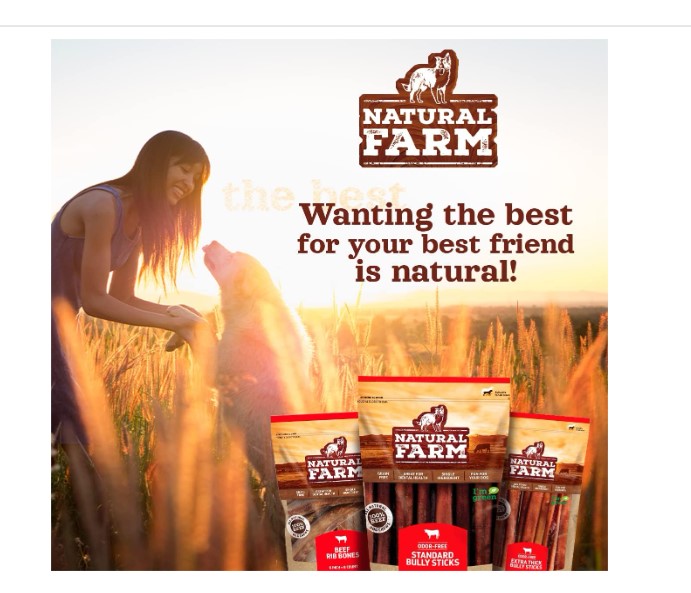 Best Collagen Sticks for Dogs in the USA (2025 Edition)