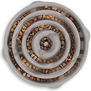 Outward Hound Slow Feeder Bowl, Puzzle Maze for Dogs, Prevents Bloat, 4-Cup Capacity, Non-Slip, BPA-Free, Gray