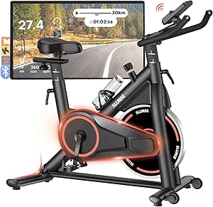 Spin Bike for Home Gym, Quiet Exercise Cycle with Comfortable Seat, Indoor Cardio Equipment