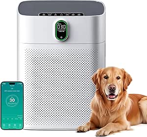 Luftreiniger HEPA Filter für Zuhause, Allergiker, Raucherräume