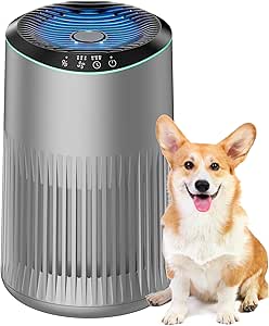 Air Purifier for Bedroom Home & Allergies, Office, Smoker Room - Cool Gray - 3 Modes
