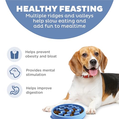 Outward Hound Slow Feeder Dog Bowl - Promotes Healthy Digestion, Prevents Bloat | Fun Mealtime, Slows Eating, Durable - Medium Blue