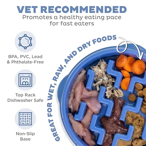 Outward Hound Slow Feeder Dog Bowl - Promotes Healthy Digestion, Prevents Bloat | Fun Mealtime, Slows Eating, Durable - Medium Blue