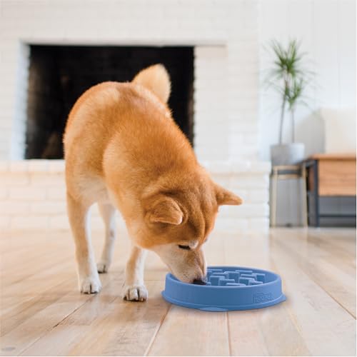 Outward Hound Slow Feeder Dog Bowl - Promotes Healthy Digestion, Prevents Bloat | Fun Mealtime, Slows Eating, Durable - Medium Blue