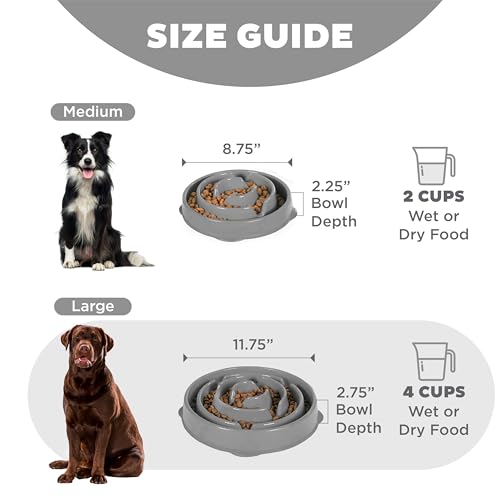 Outward Hound Slow Feeder Bowl for Medium to Large Dogs, Puzzle Maze, Prevents Bloat, Holds 4 Cups, Non-Slip, BPA-Free, Gray