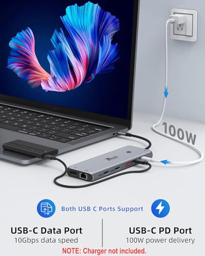 LIONWEI USB C Hub: 13-in-1 Docking Station, Dual Monitor Support, 8 Ports, Ethernet, Audio - For MacBook, Dell, HP, Lenovo, Surface