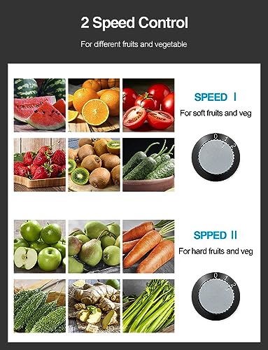 Qcen 800W Centrifugal Juicer Extractor, Wide 3" Feed Chute, Stainless Steel - Easy to Clean, BPA-free - Fruit Vegetable Juicer