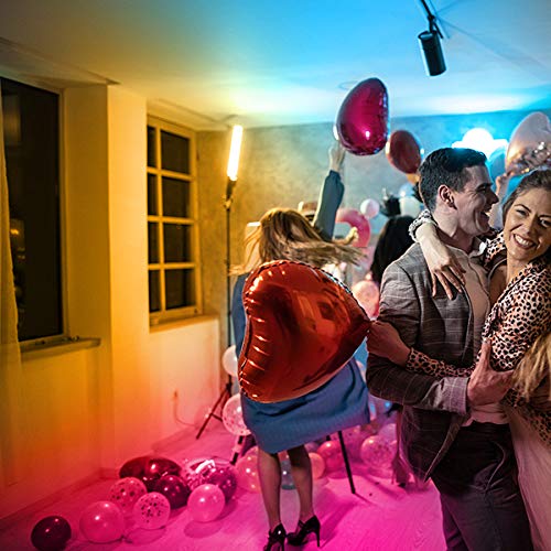 DAYBETTER Waterproof LED Strip Lights Kit, Color Changing 300 LEDs, 32.8ft, Remote, Power Supply - Indoor/Outdoor