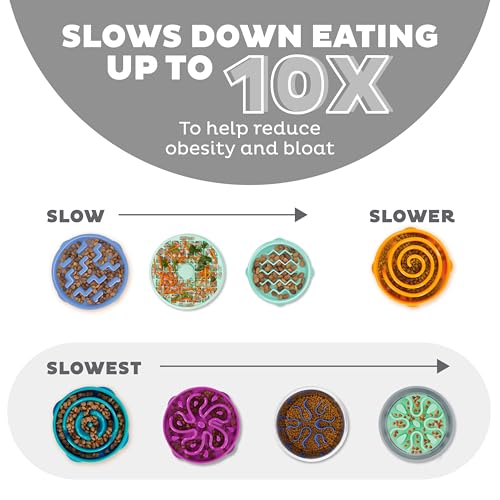 Outward Hound Slow Feeder Bowl, Puzzle Maze for Dogs, Prevents Bloat, 4-Cup Capacity, Non-Slip, BPA-Free, Gray