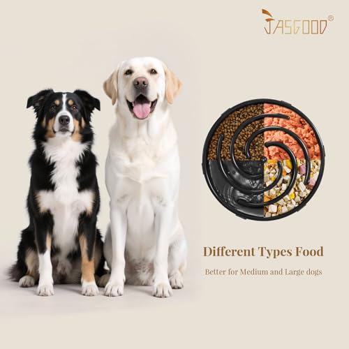 JASGOOD Slow Feeder Bowl for Large Dogs, Anti-Gulping Pet Food Dish, Prevents Choking & Bloat