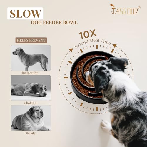 JASGOOD Slow Feeder Bowl for Large Dogs, Anti-Gulping Pet Food Dish, Prevents Choking & Bloat