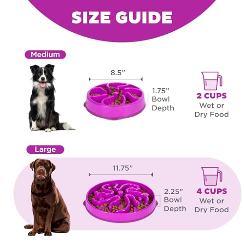 Outward Hound Slow Feeder Bowl, Puzzle Maze for Fast Eaters, Large Dogs, Prevents Bloat, Holds 4 Cups, Non-Slip, Purple