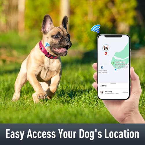 Airtag Dog Collar Holder for Small Dogs, Reflective & Soft Padded, Safety Lock, Nylon Adjustable Pet Collar - Hotpink