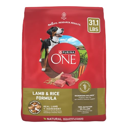 Purina ONE Lamb & Rice Dry Dog Food - Nourishing Formula, 31.1lb