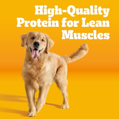 Pedigree Dry Dog Food, Grilled Steak & Veg Flavor, 18lb Bag