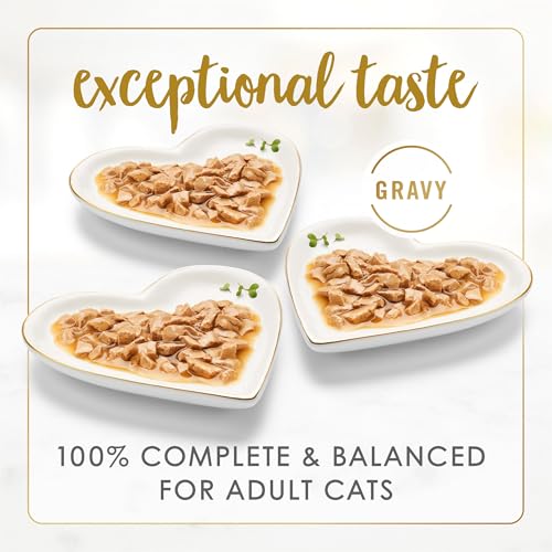 Fancy Feast Gravy Lovers Variety Pack - Poultry & Beef, 24x3oz
