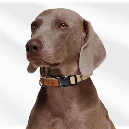 Mile High Life Soft Cotton Dog Collars with Heavy Metal Buckle - Classic Puppy Collar with Premium Leather Tips - Large Dog Pet Collars