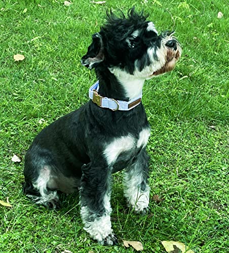 Paws Dog Collar Metal Buckle Blue Stripe Gift for Cute Dogs