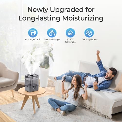 CHIVALZ 6L Cool Mist Humidifier for Bedroom & Nursery, Top Fill, Oil Diffuser, Large Room Home, Plants, 2 Mist Outlets Gray