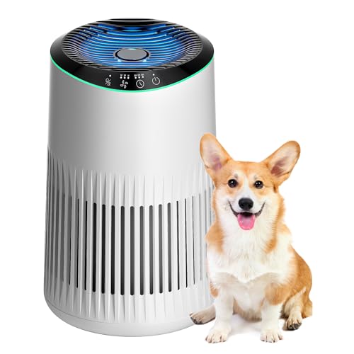 MR2566 Air Purifier for Home: Smoke, Pet Dander, Odors - Sleep Mode, Ambient Light - Small Size, Bedroom, Office - White