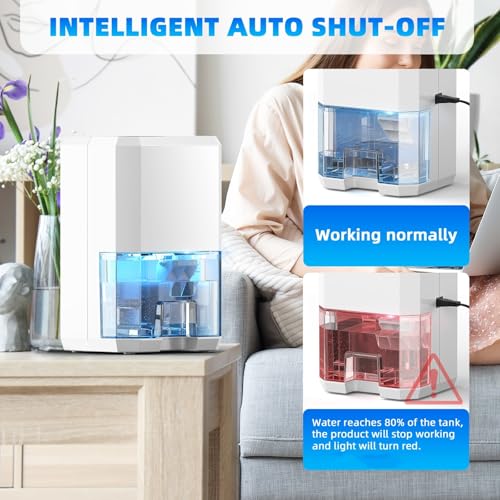 Quiet Electric Dehumidifier for Home, Bedroom & Bathroom with Timer & LED, Auto Shut-Off, 300ML/24H
