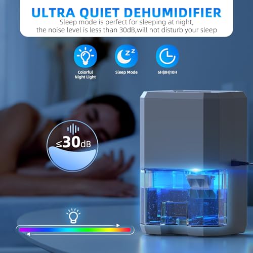 Quiet Electric Dehumidifier for Home, Bedroom & Bathroom with Timer & LED, Auto Shut-Off, 300ML/24H
