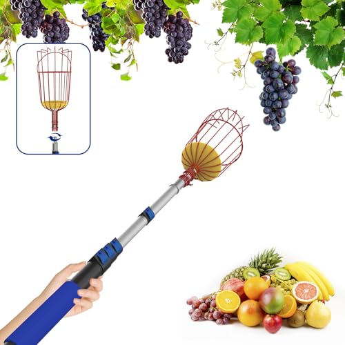 Extendable Aluminum Fruit Picker Pole with Basket, 26FT Reach, Ideal for Avocados, Apples, Mangoes - Durable Harvesting Tool
