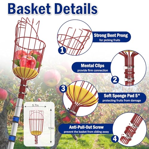 Extendable Aluminum Fruit Picker Pole with Basket, 26FT Reach, Ideal for Avocados, Apples, Mangoes - Durable Harvesting Tool