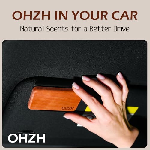 Wood Air Freshener: Car Odor Eliminator, Long Lasting Scent - Vehicle Diffuser for Truck & SUV - Pack of 4 - Teak, Amber, Cabana, Grove