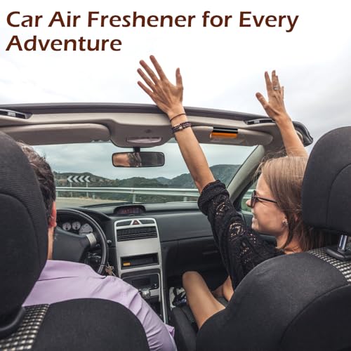 Wood Air Freshener: Car Odor Eliminator, Long Lasting Scent - Vehicle Diffuser for Truck & SUV - Pack of 4 - Teak, Amber, Cabana, Grove